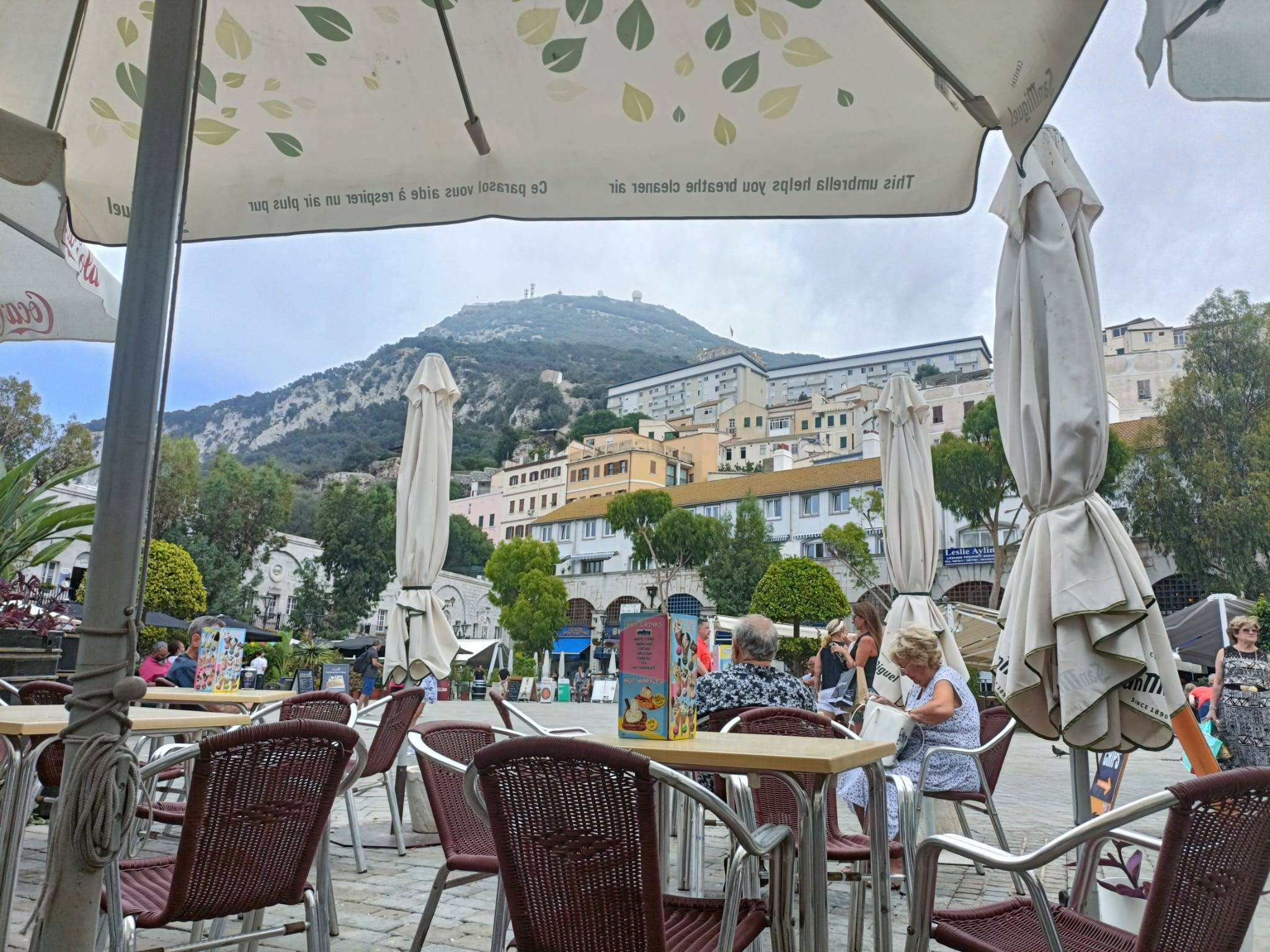 A view from Roy's Fish and Chips